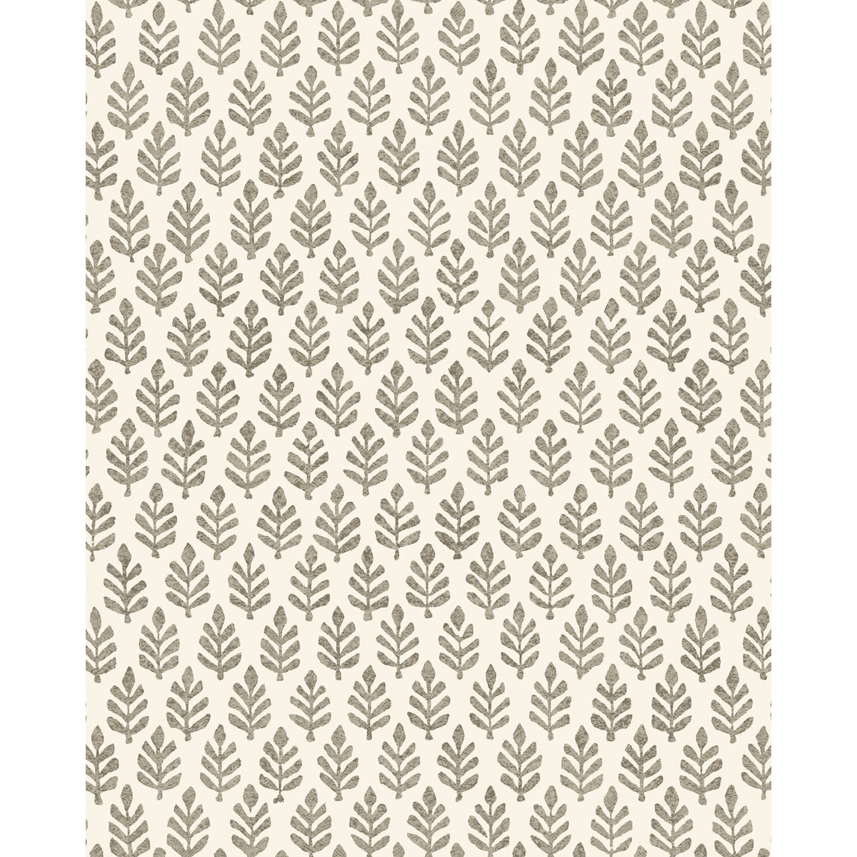 Folia Wp - Espresso