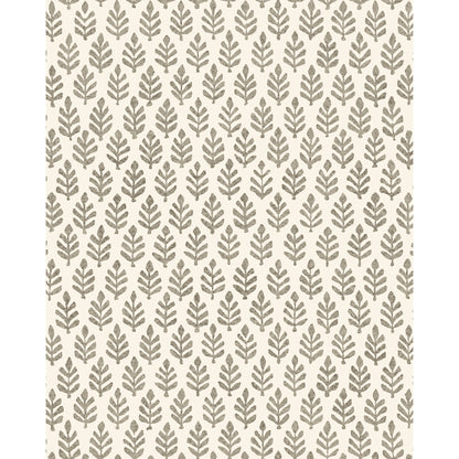 Folia Wp - Espresso