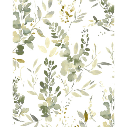 Harumi Wp - Eucalyptus