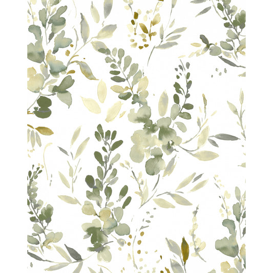 Harumi Wp - Eucalyptus