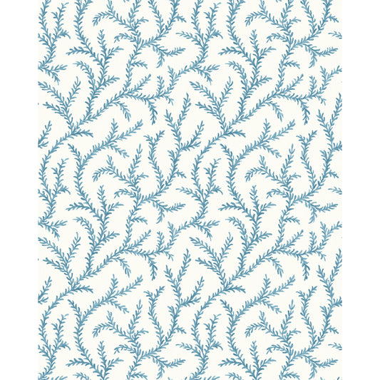 Inaya Wp - Chambray