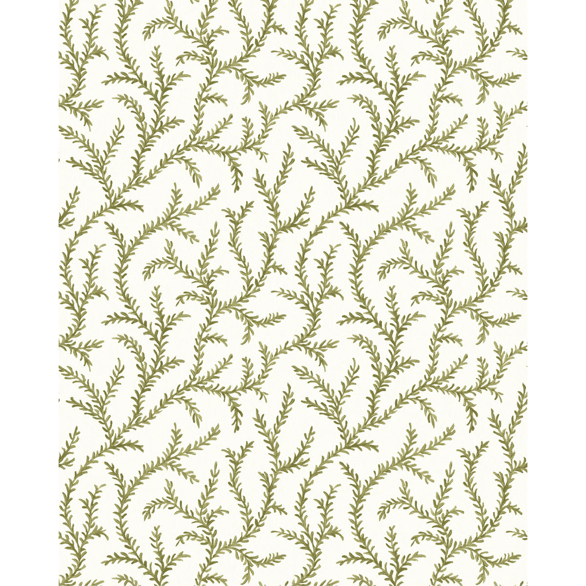 Inaya Wp - Moss