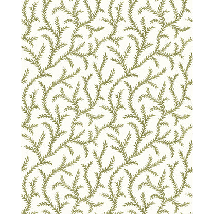 Inaya Wp - Moss