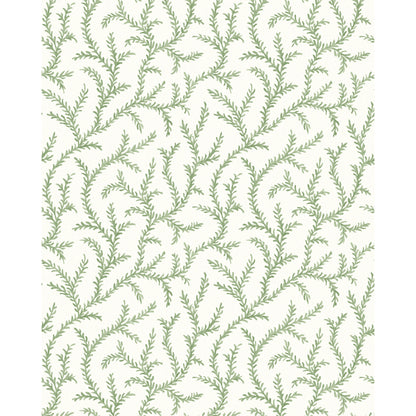Inaya Wp - Sage