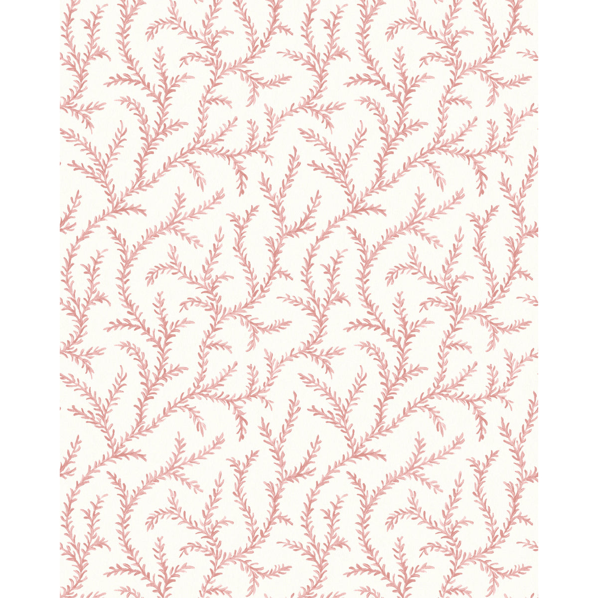 Inaya Wp - Rose