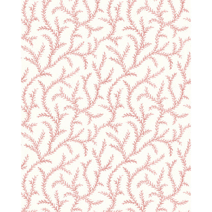 Inaya Wp - Rose