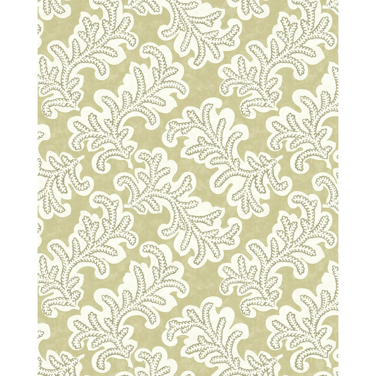 Odila Wp - Willow