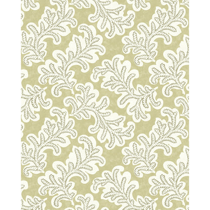 Odila Wp - Willow
