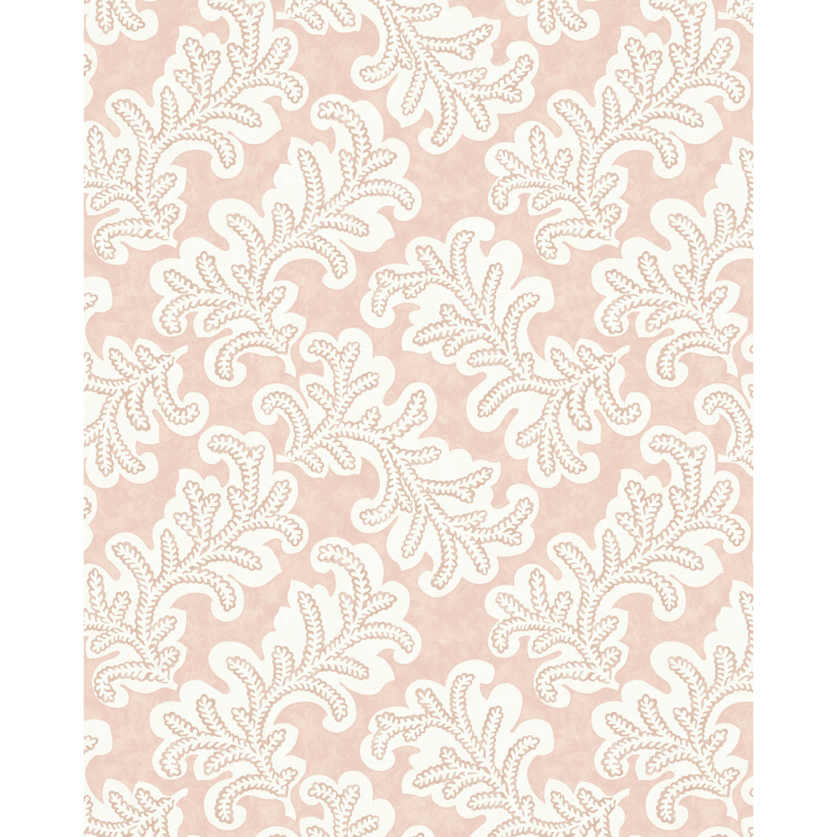 Odila Wp - Rose
