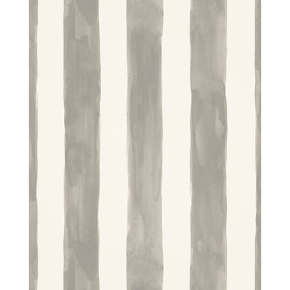 Tassa Grande Wp - Fog