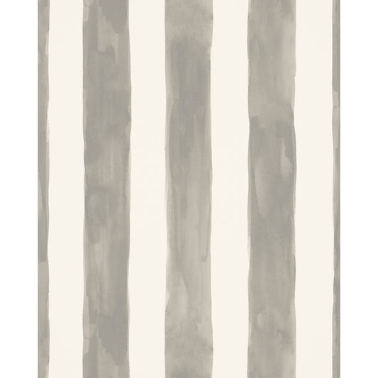 Tassa Grande Wp - Fog