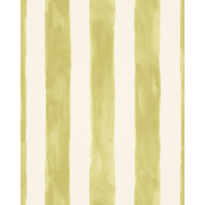 Tassa Grande Wp - Asparagus