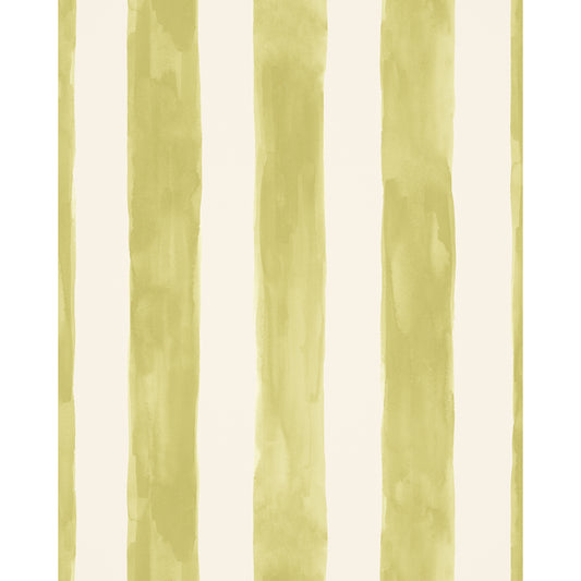 Tassa Grande Wp - Asparagus