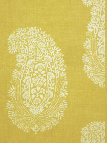Paisley Ground Fabric by Titley & Marr in Yellow