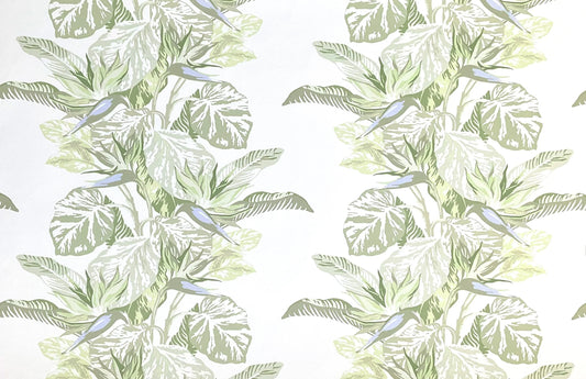 Paradise Wallpaper by Betsy Textiles in Palm