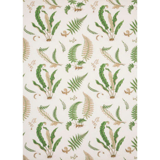 Ferns Linen Fabric by G P & J Baker in Stone/Green
