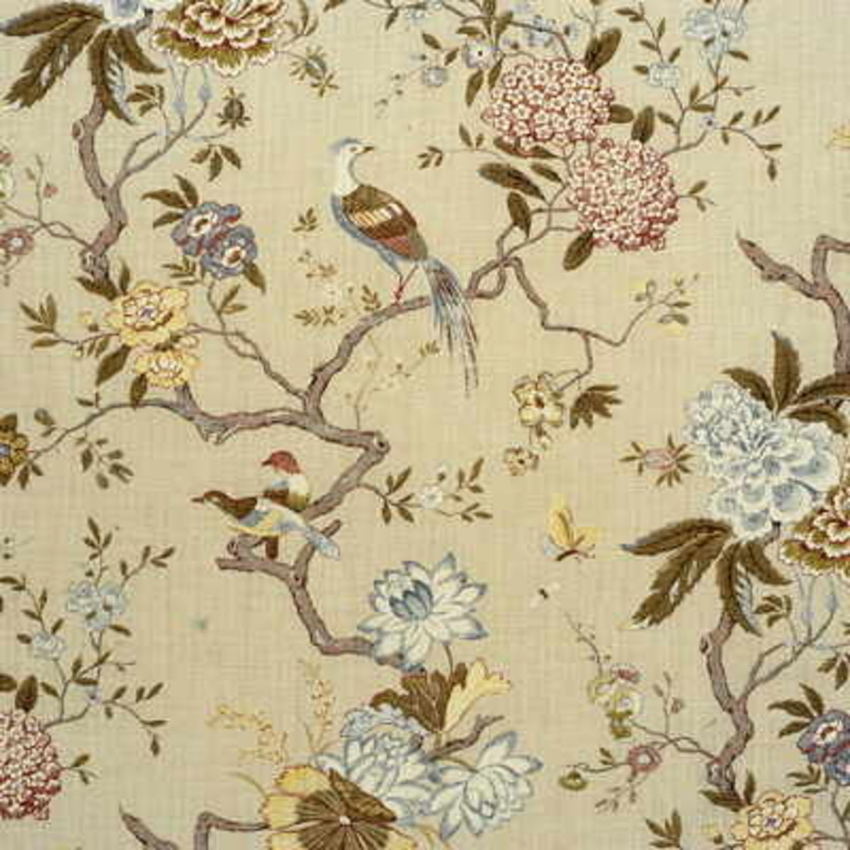 Oriental Bird - Olive/Stone