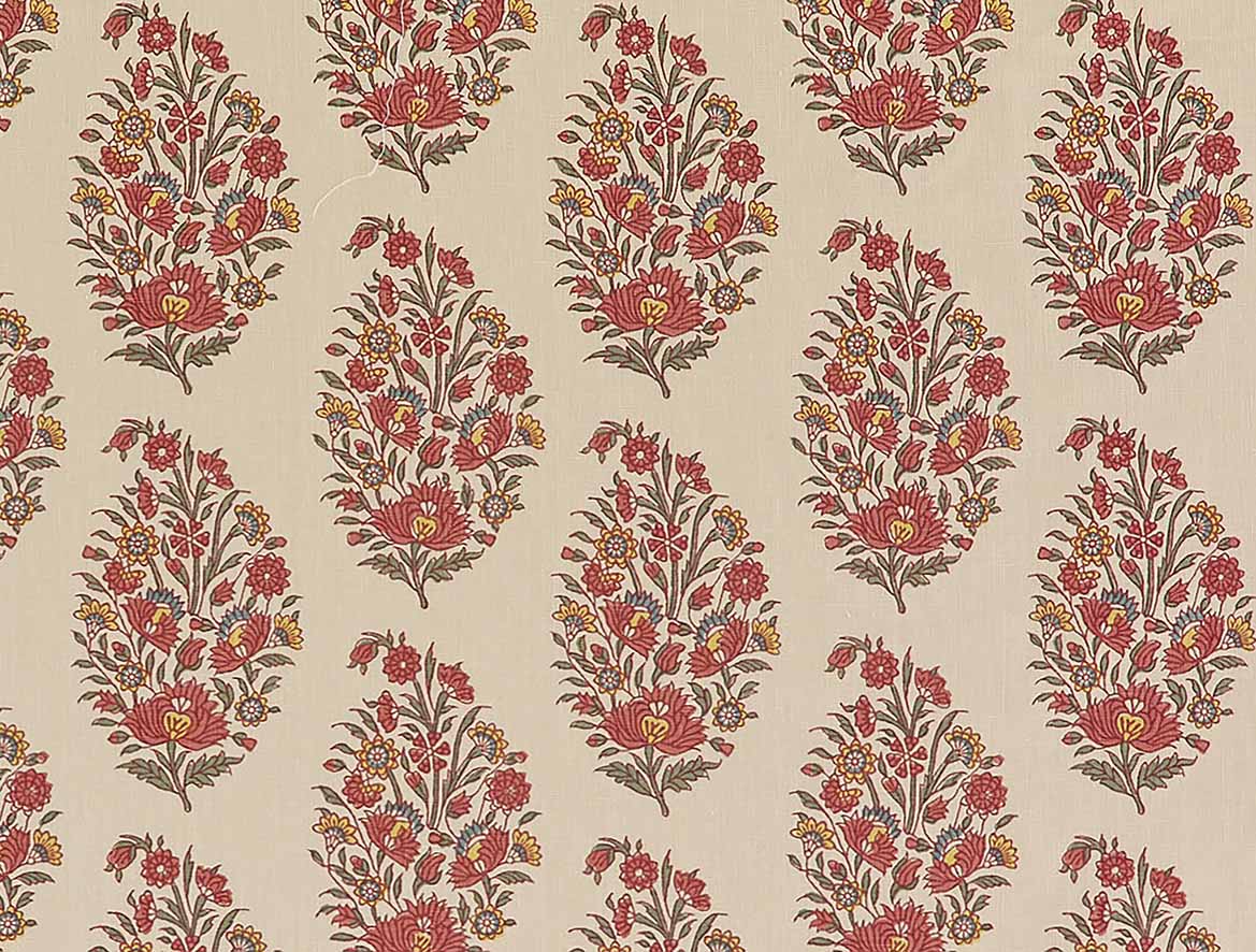 Rajpootana Raspberry