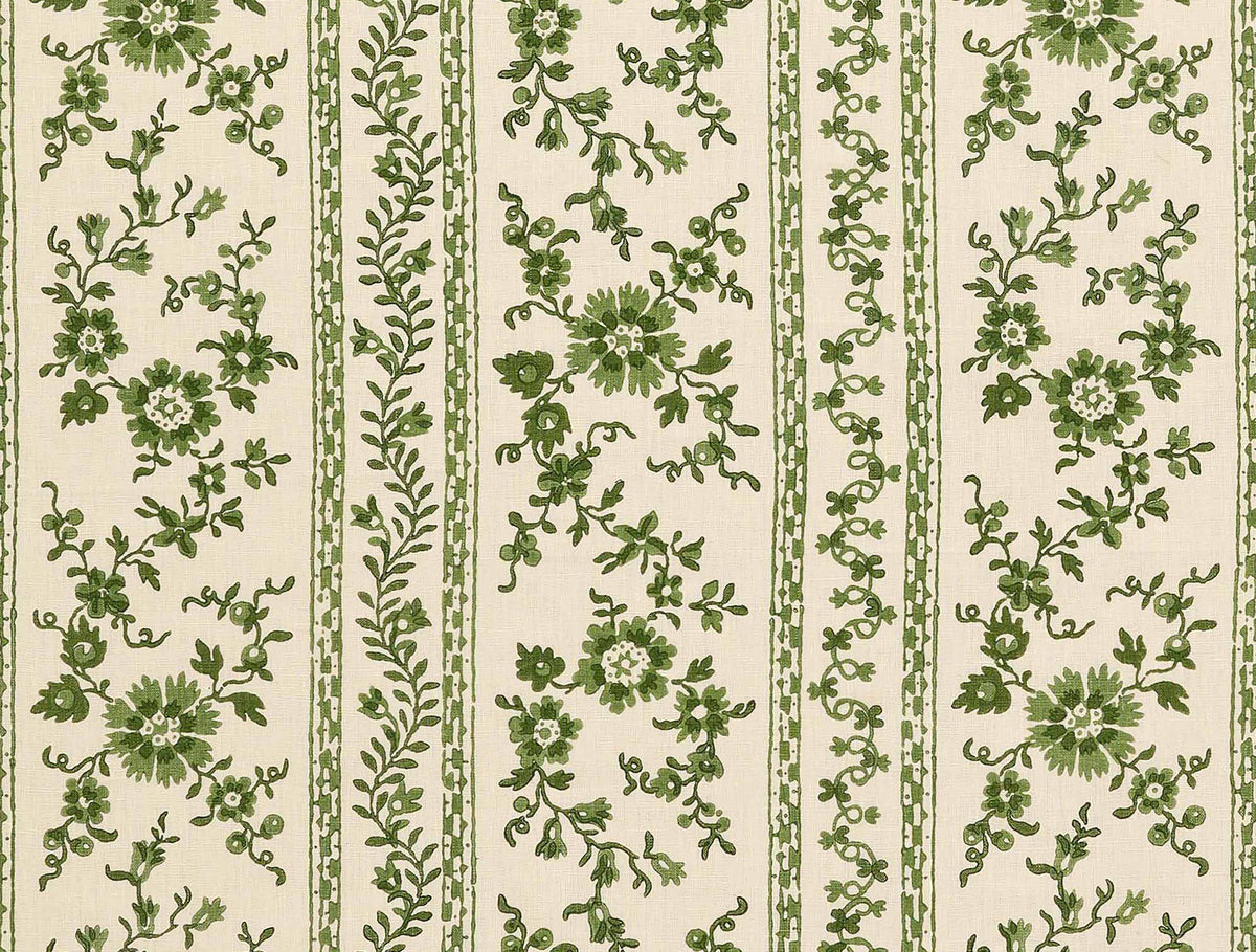 Rampacanti Fiddlehead