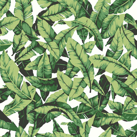 Palm Leaves Peel & Stick Wallpaper