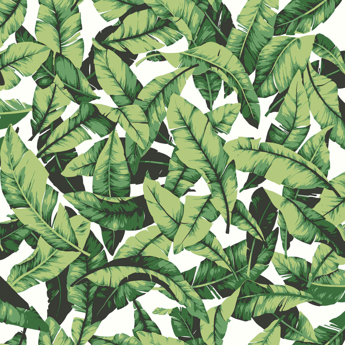 Palm Leaves Peel & Stick Wallpaper