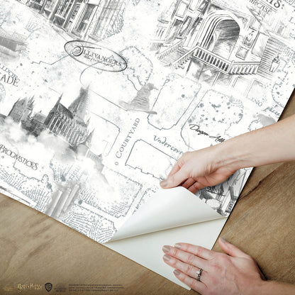 Harry Potter Hogwarts Map Peel & Stick Wallpaper