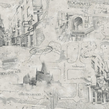Harry Potter Hogwarts Map Peel & Stick Wallpaper