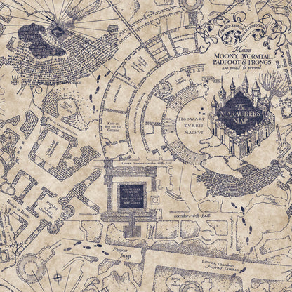 Harry Potter Marauder's Map Peel & Stick Wallpaper