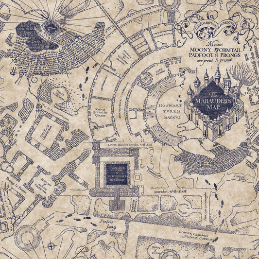 Harry Potter Marauder's Map Peel & Stick Wallpaper