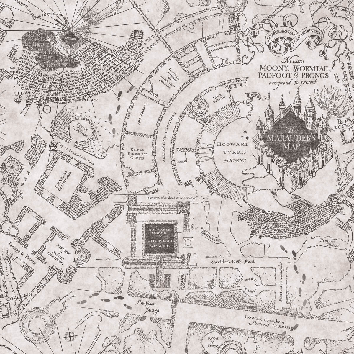 Harry Potter Marauder's Map Peel & Stick Wallpaper