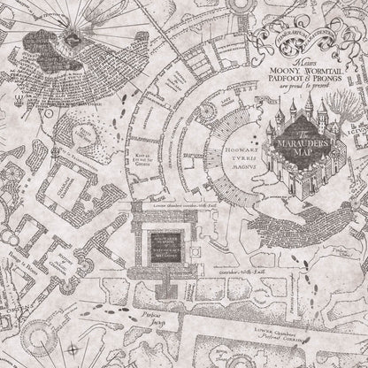 Harry Potter Marauder's Map Peel & Stick Wallpaper