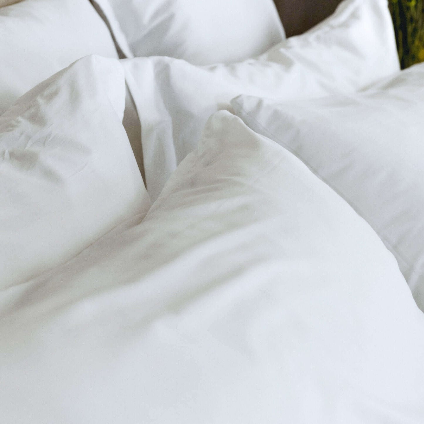 Classic Pillowcase Pair