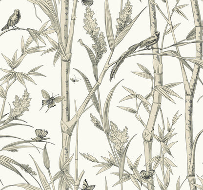 Bambou Toile Wallpaper