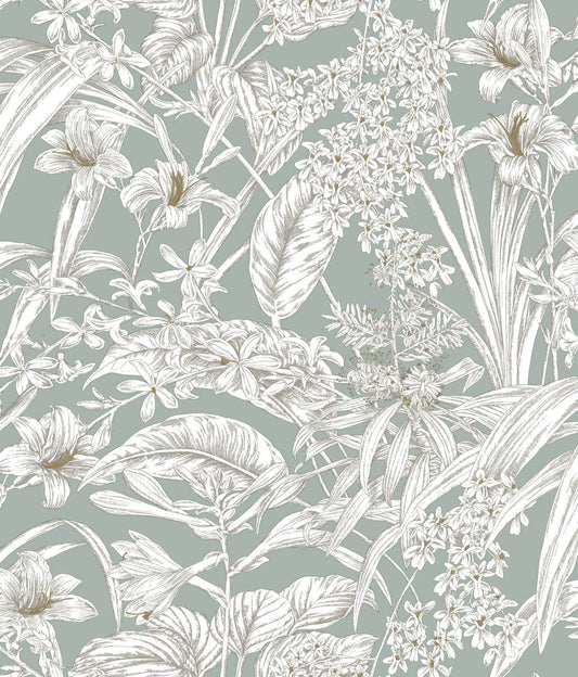 Orchid Conservatory Toile Wallpaper