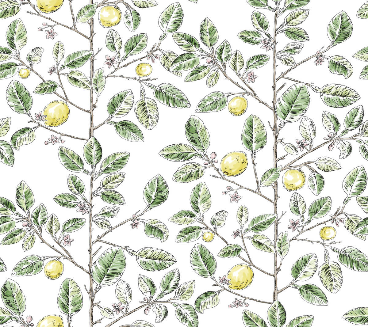 Limoncello Toile Wallpaper