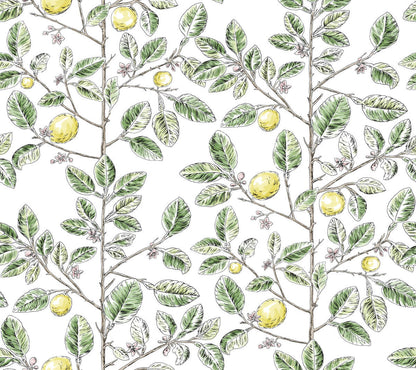 Limoncello Toile Wallpaper