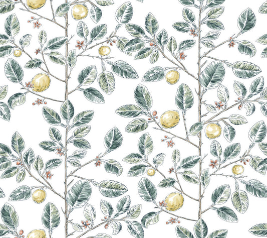 Limoncello Toile Wallpaper