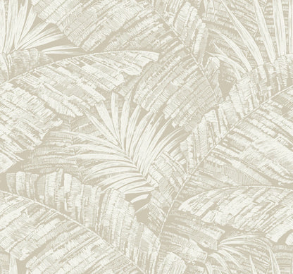 Palm Cove Toile Wallpaper