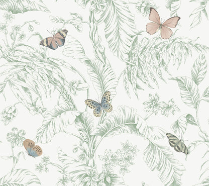 Papillon Wallpaper