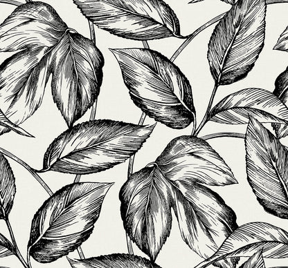 Seabrook Summer House Beckett Sketched Leaves Wallpaper - Volcanic Black