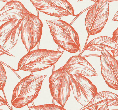 Seabrook Summer House Beckett Sketched Leaves Wallpaper - Rich Coral