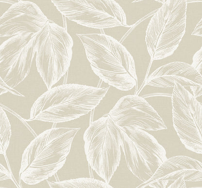 Seabrook Summer House Beckett Sketched Leaves Wallpaper - Oat