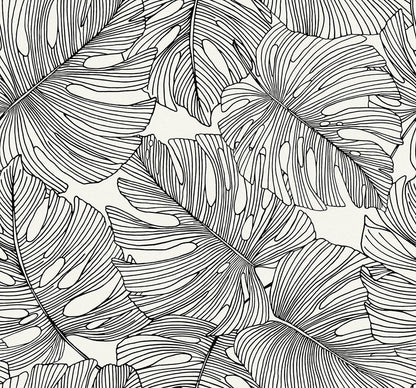 Seabrook Summer House Tarra Monstera Leaf Wallpaper - Contrasto