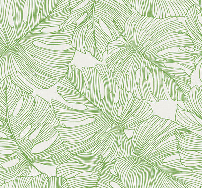 Seabrook Summer House Tarra Monstera Leaf Wallpaper - Hill Green