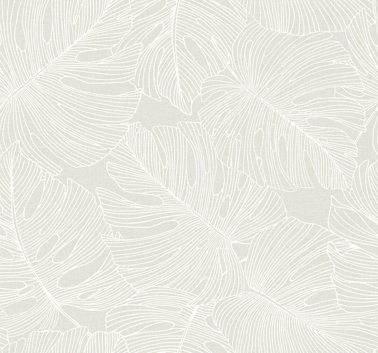 Seabrook Summer House Tarra Monstera Leaf Wallpaper - White Sand