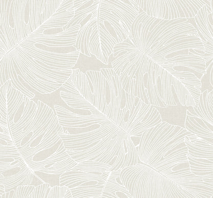 Seabrook Summer House Tarra Monstera Leaf Wallpaper - White Sand