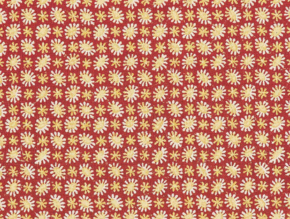 Solstice Red