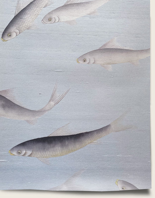 School Wallpaper Mural by Aux Abris in Tide