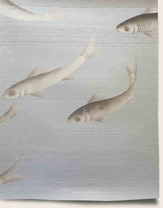 School Wallpaper Mural by Aux Abris in Undertow