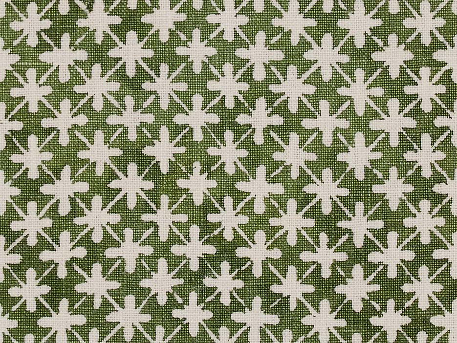 Sitaron Fern